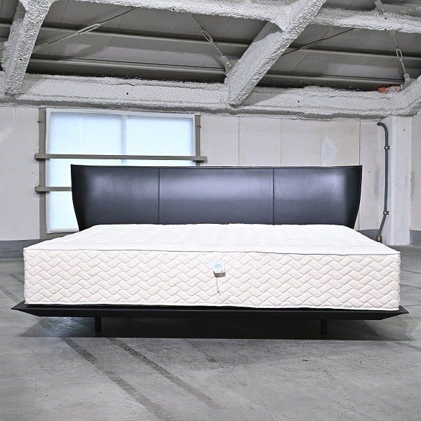 B&B Italia 「Alys/アリス」キングベッド 本革 マットレス付 ガブリエル＆オスカーブラッティ 寝室【 中古家具/中古インテリア/USED家具ユーズド家具/リサイクル】の商品写真